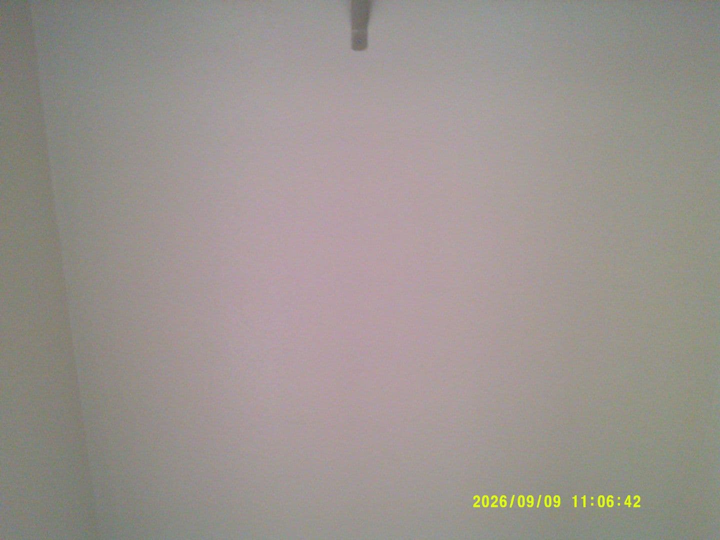 DUNDEE Apartment: 179 SW 7TH ST