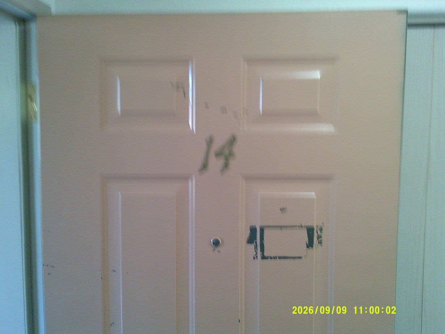 DUNDEE Apartment: 179 SW 7TH ST