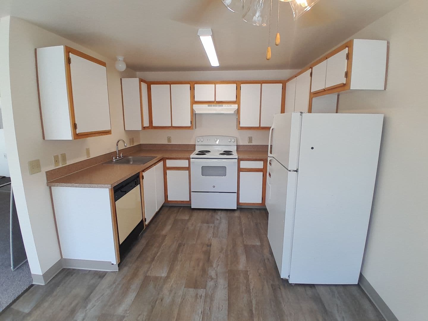 ALBANY Apartment: 1805 16th AVE. SE, #1