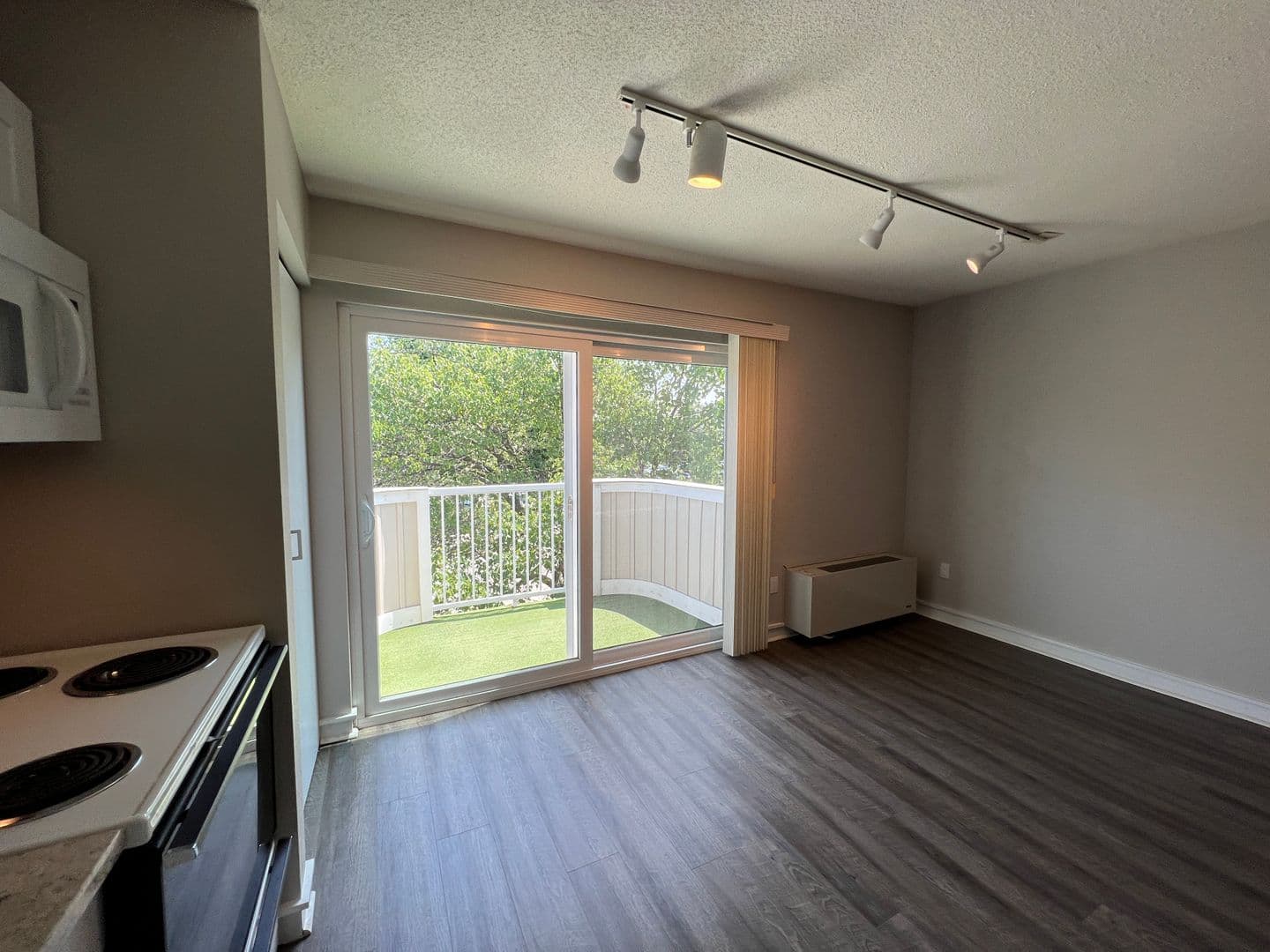 Traverse City Condo: 124 Beech St #203