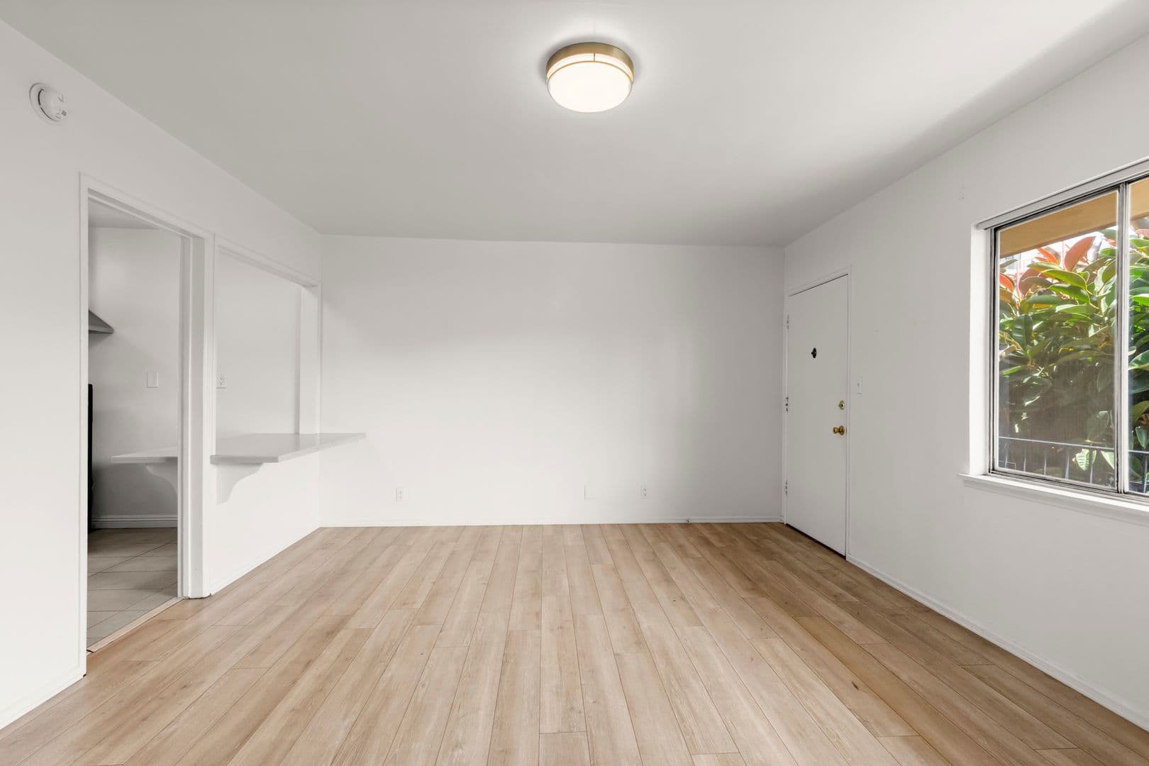Los Angeles Apartment: 501 South Kingsley Drive