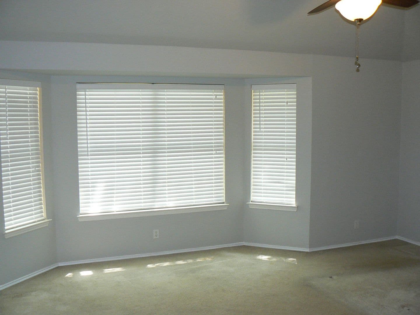 Cedar Park House: 1223 Red Ranch Cir