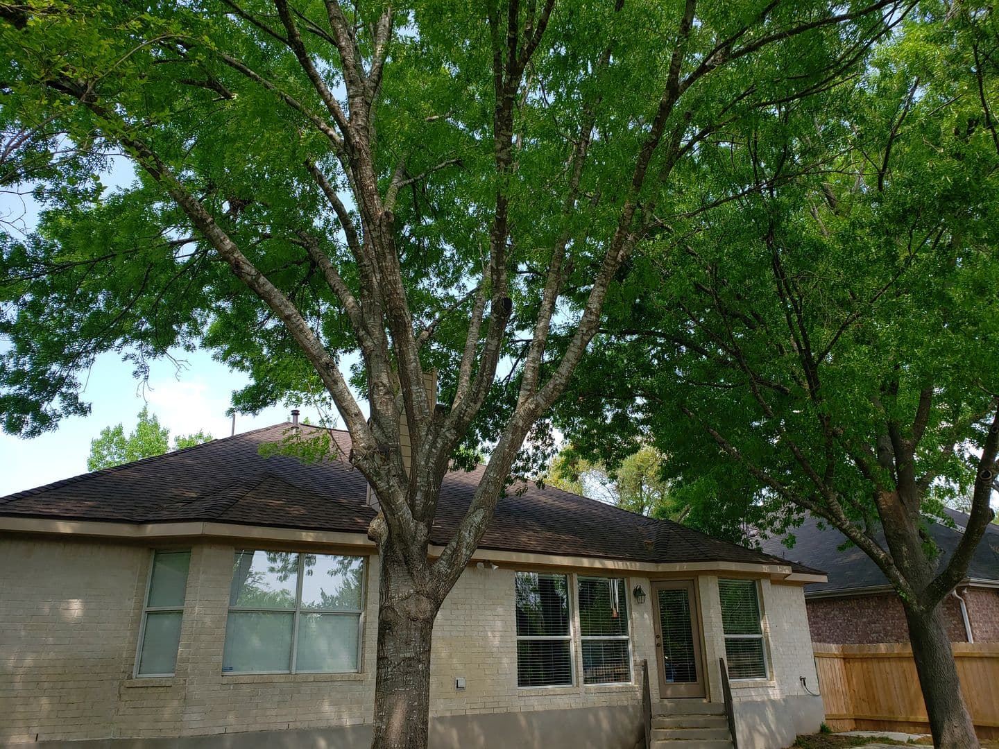 Cedar Park House: 1223 Red Ranch Cir