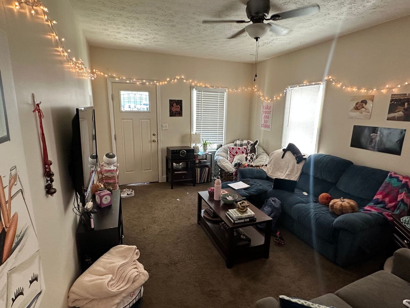 Columbus Apartment: 133 Chittenden