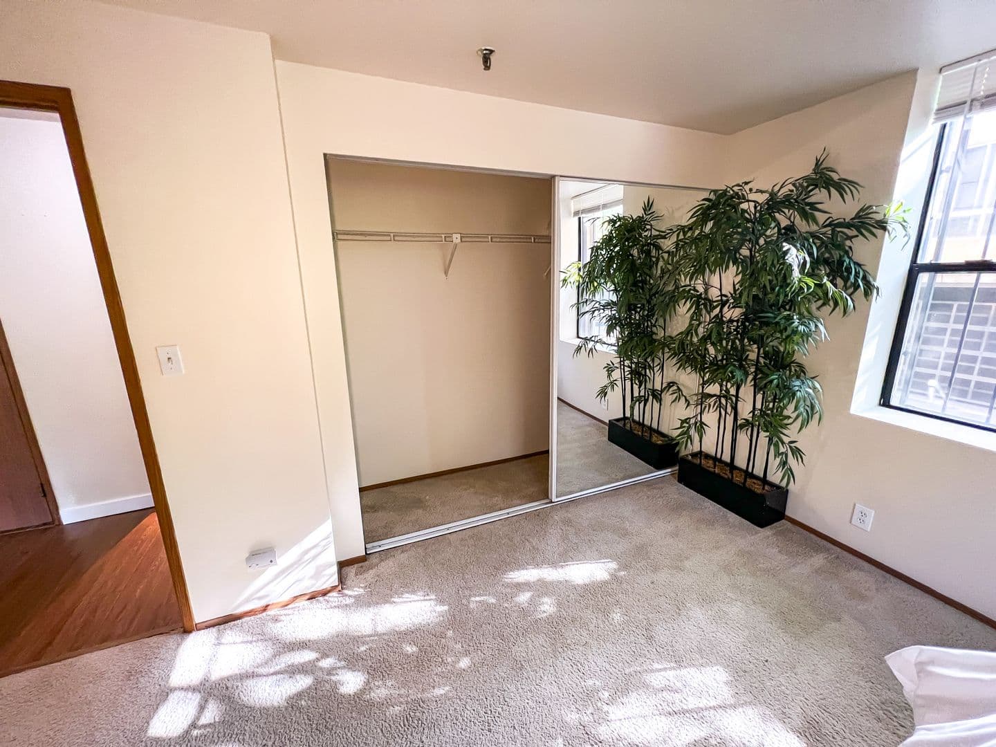 Seattle Apartment: 1215 Seneca St.
