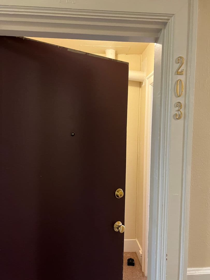 Seattle Apartment: 1509 E Madison St