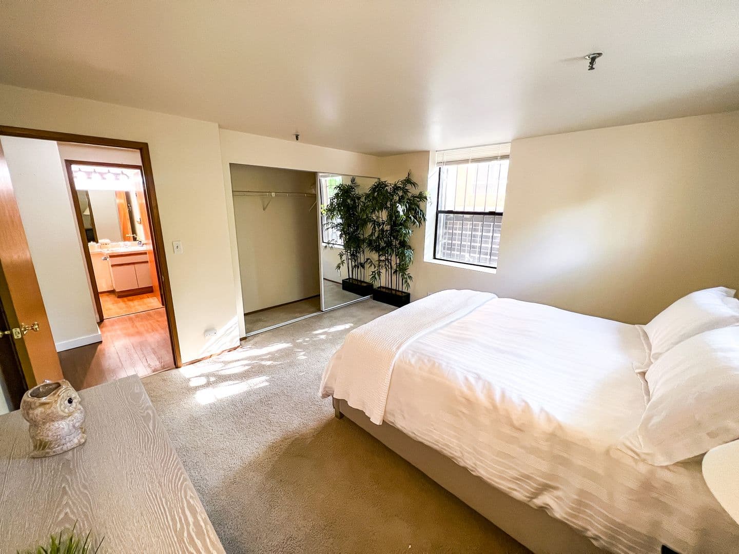 Seattle Apartment: 1215 Seneca St.