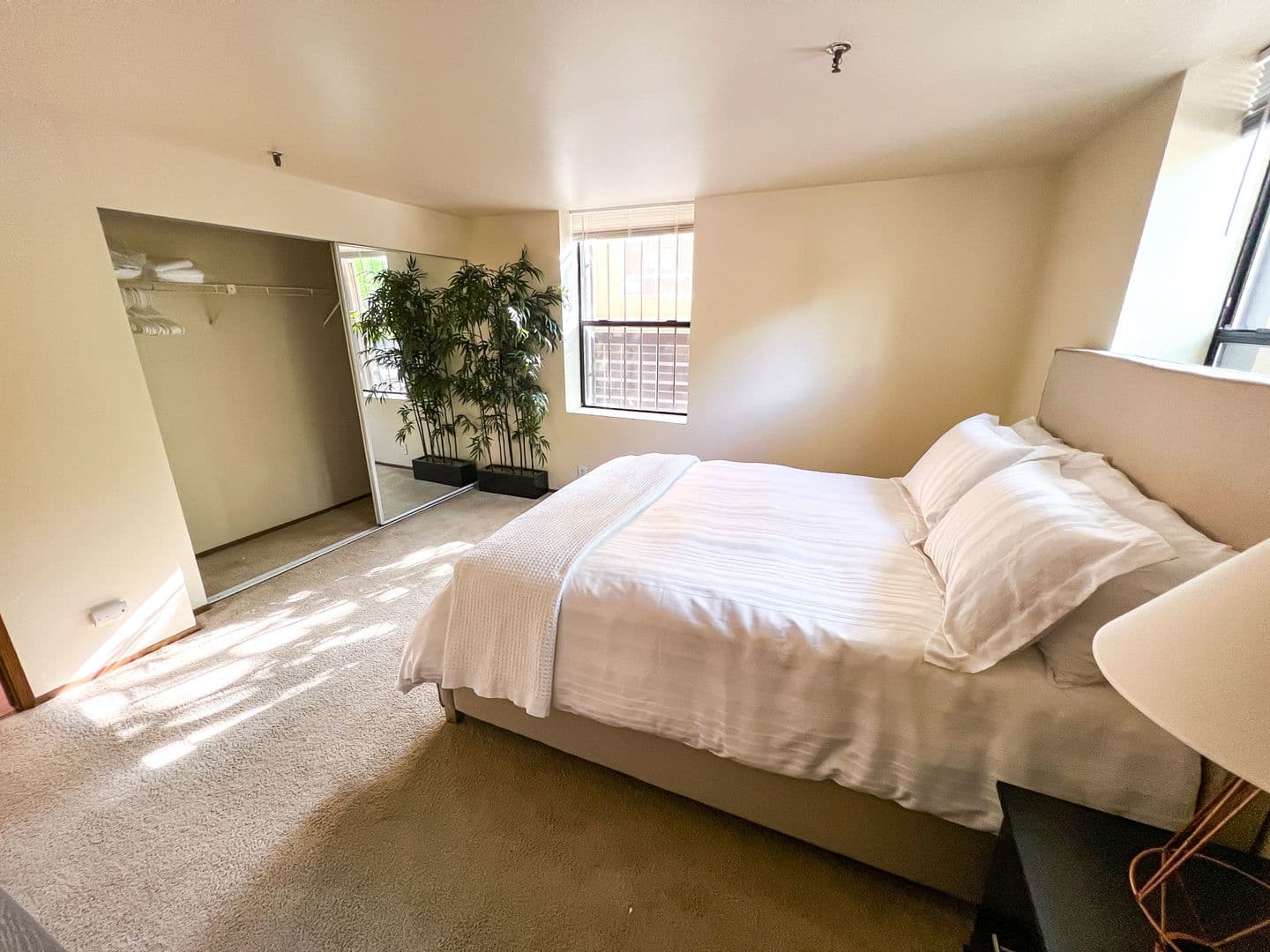 Seattle Apartment: 1215 Seneca St.