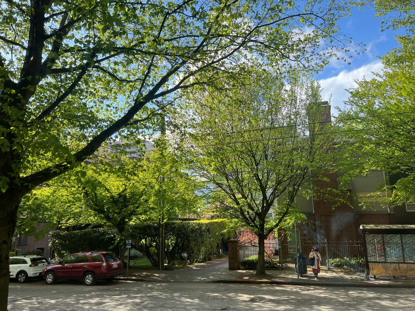 Seattle Apartment: 1215 Seneca St.