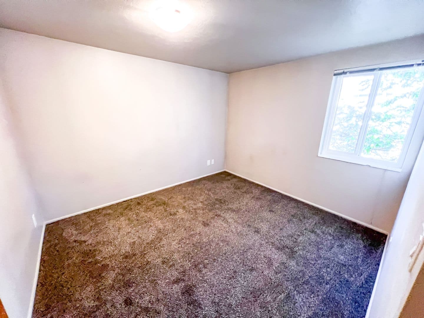 Seattle Apartment: 5233 15th Ave NE
