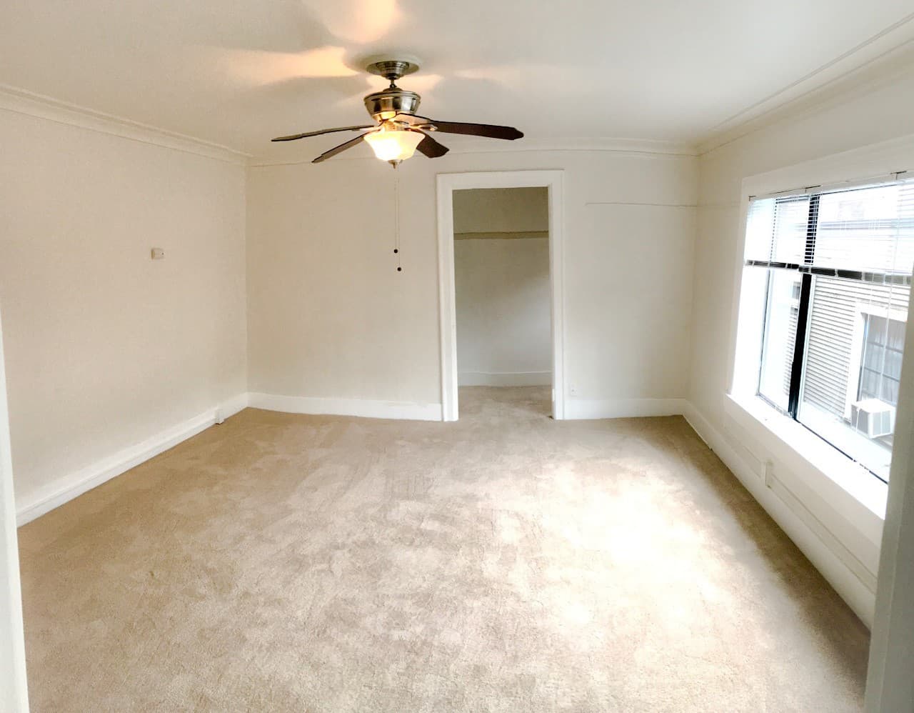 Seattle Apartment: 1509 E Madison St