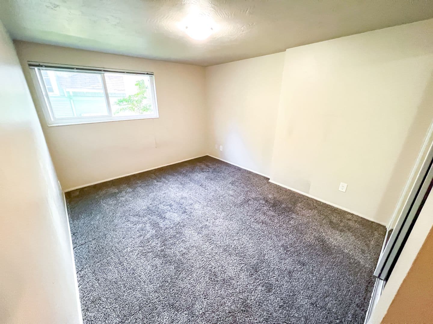 Seattle Apartment: 5233 15th Ave NE