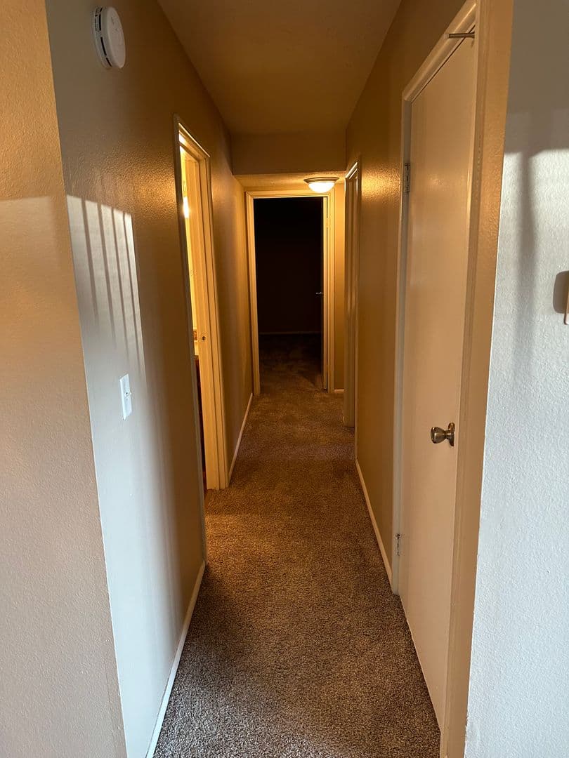 Omaha Apartment: 5344 S 99th Street