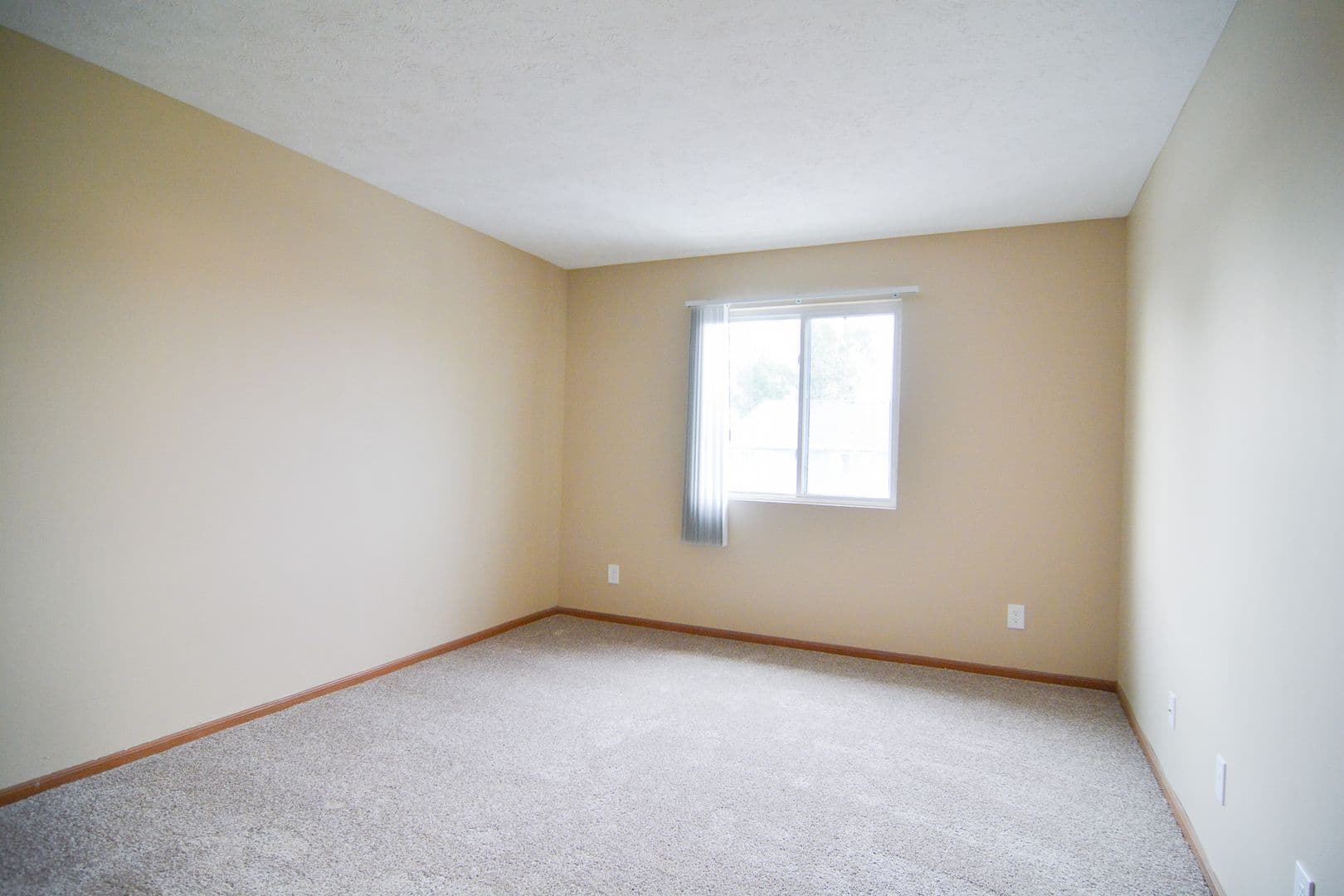 Bellevue Apartment: 14812 Normandy Blvd
