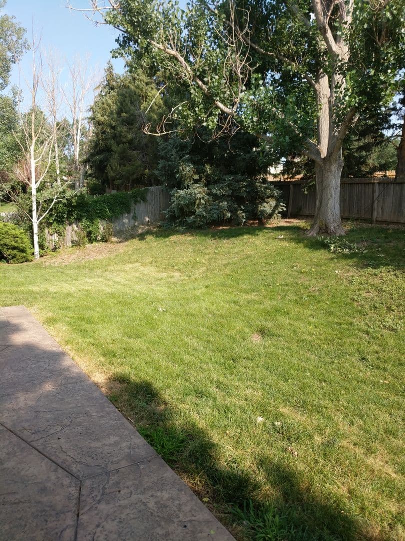 Colorado Springs House: 5511 Old Farm Cr. E.