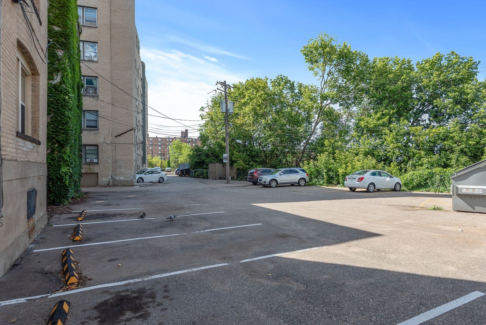 Minneapolis Apartment: 214 Oak Grove St