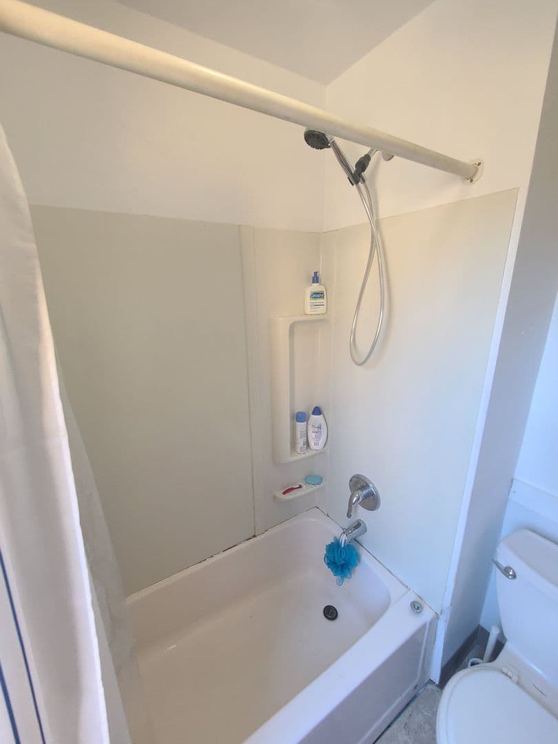 Pittsburgh Apartment: 405 McKee Place