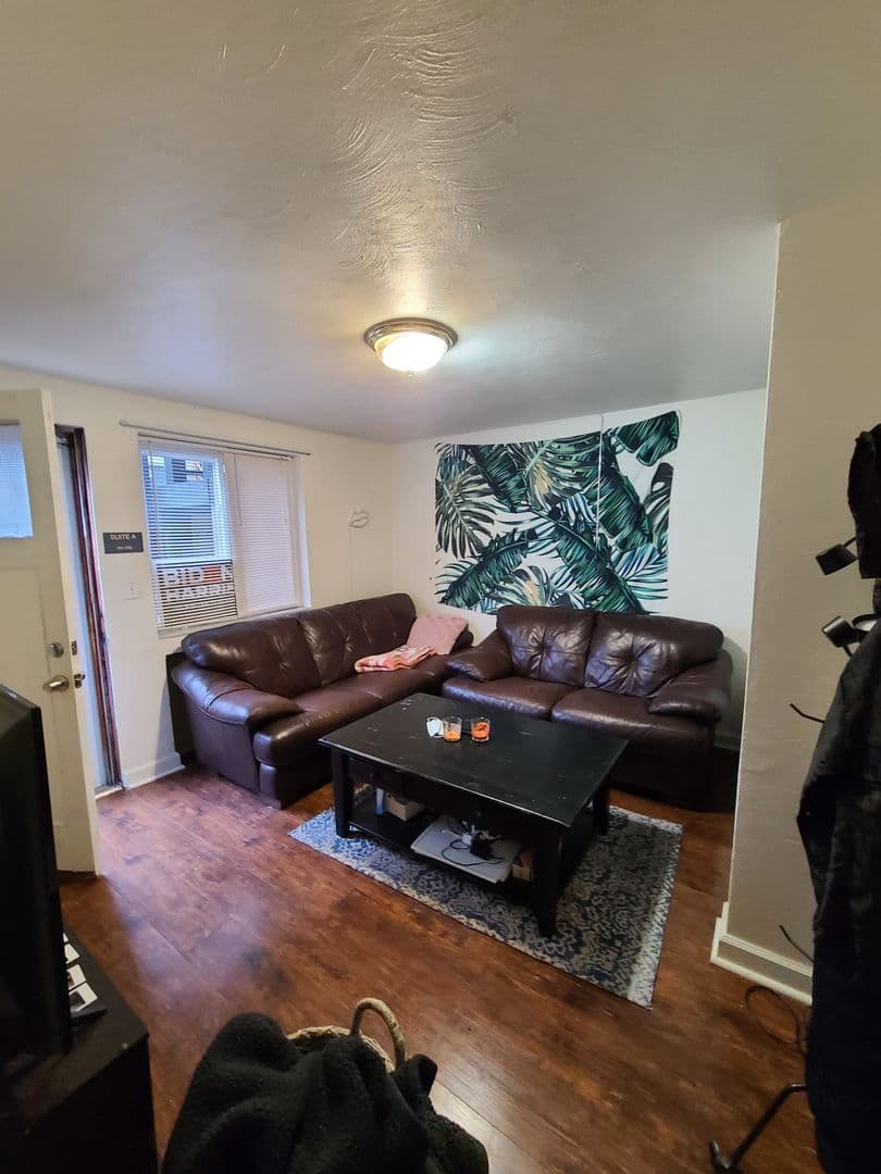Pittsburgh Apartment: 415 McKee Place