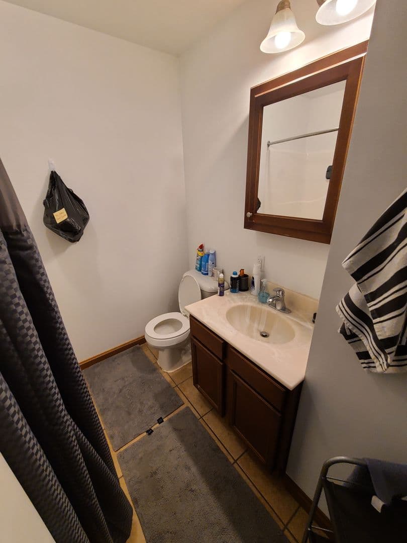 Pittsburgh Apartment: 519 Zulema Street