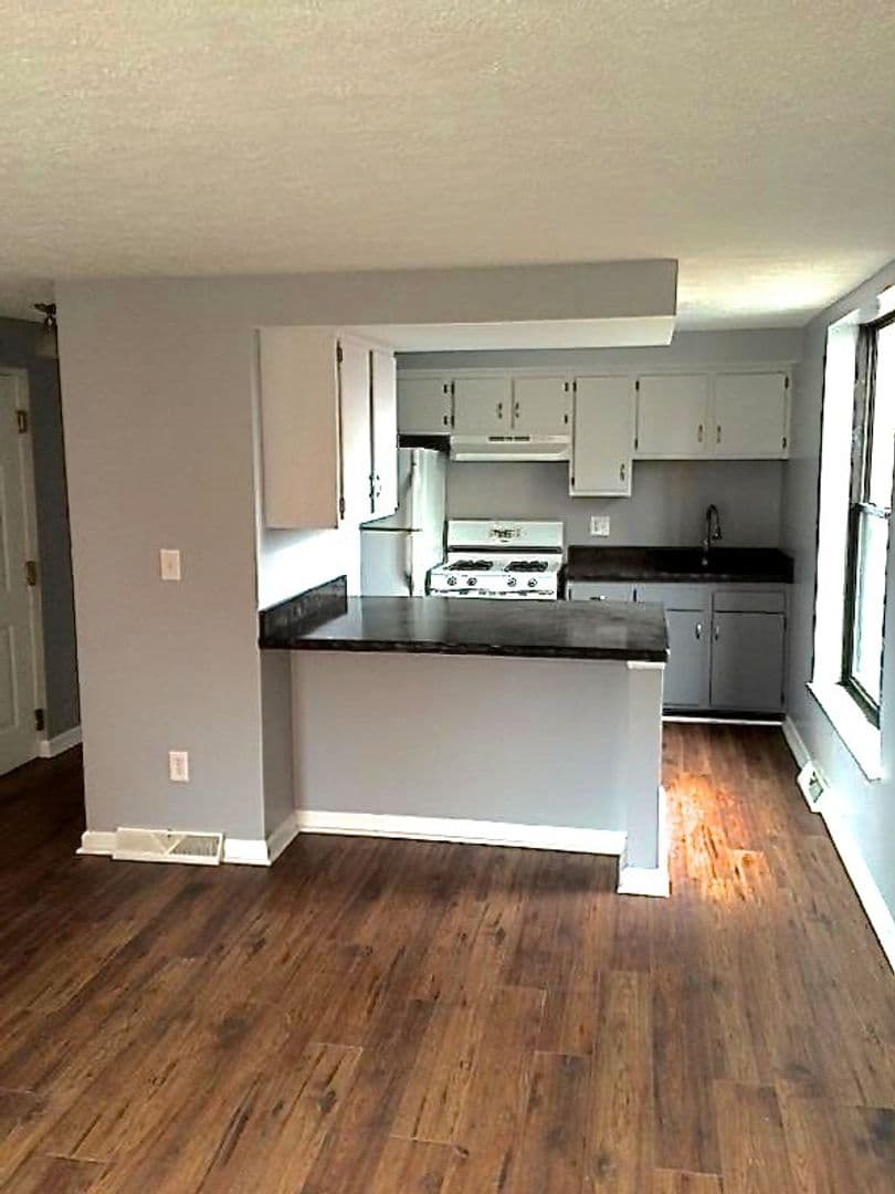 Pittsburgh Apartment: 205 South Millvale Avenue