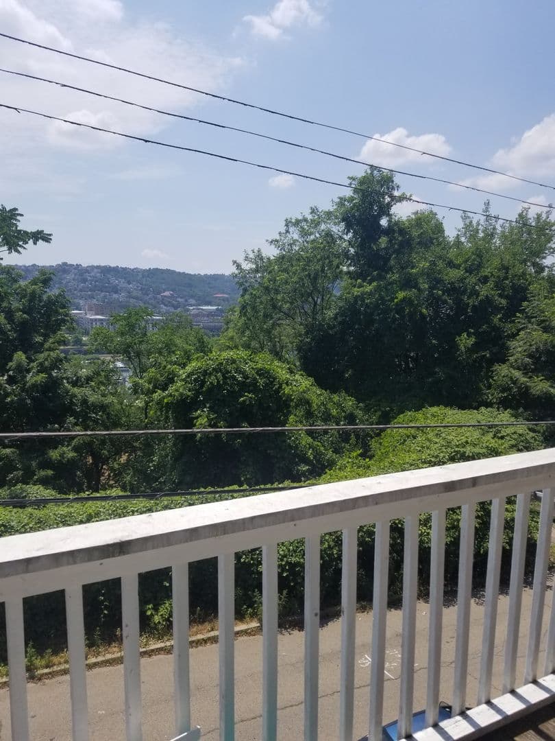 Pittsburgh House: 339 Lawn Street