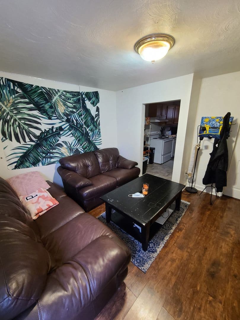 Pittsburgh Apartment: 415 McKee Place