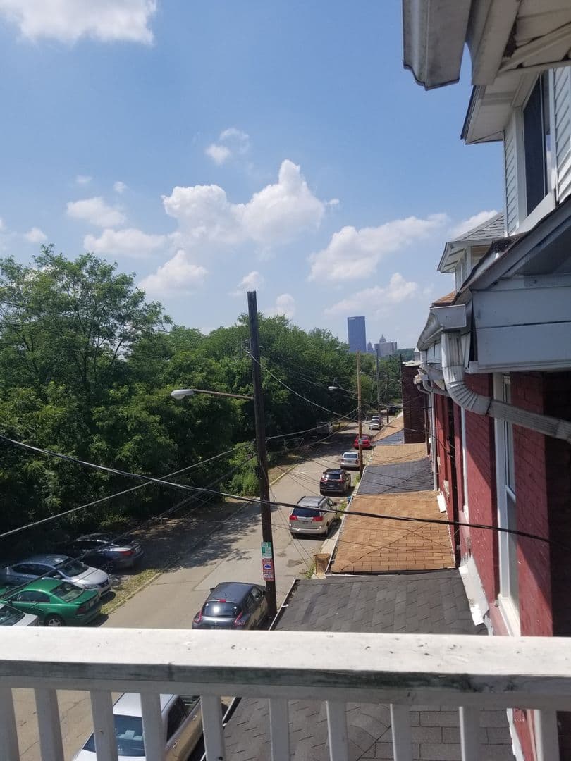 Pittsburgh House: 339 Lawn Street