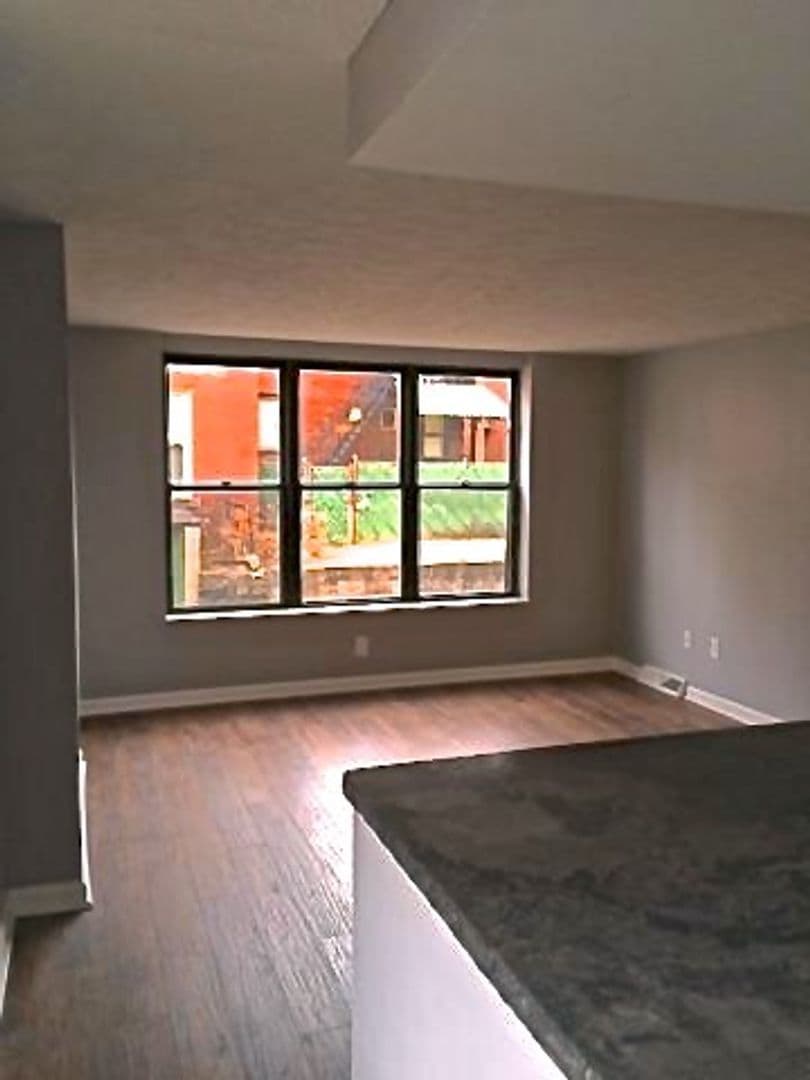 Pittsburgh Apartment: 205 South Millvale Avenue