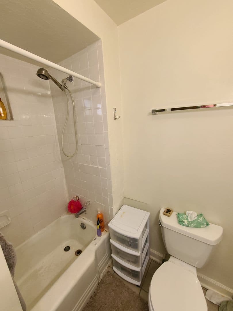 Pittsburgh Apartment: 415 McKee Place