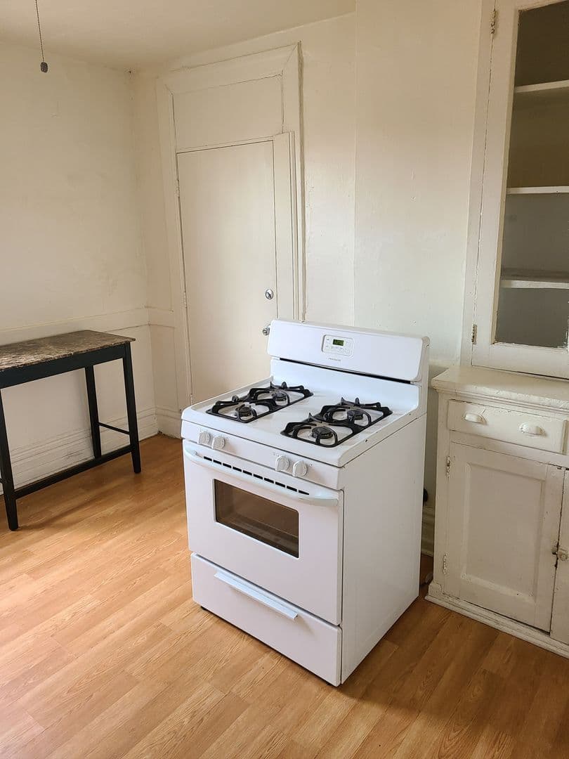 Pittsburgh Apartment: 411 McKee Place