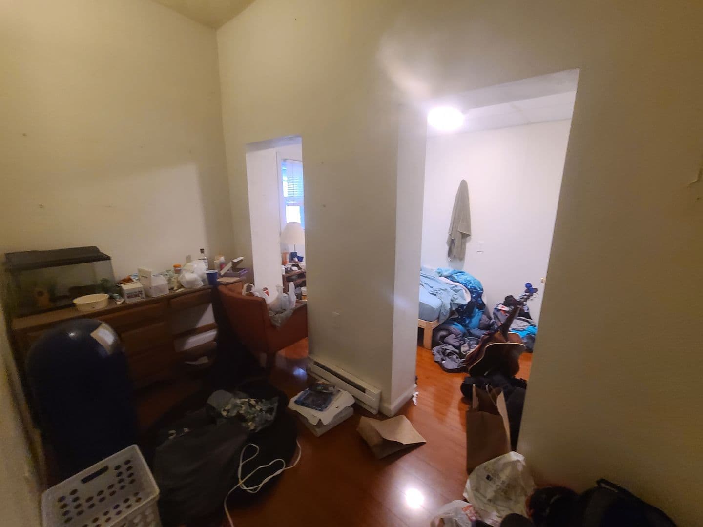 Pittsburgh Apartment: 3457 Ward Street