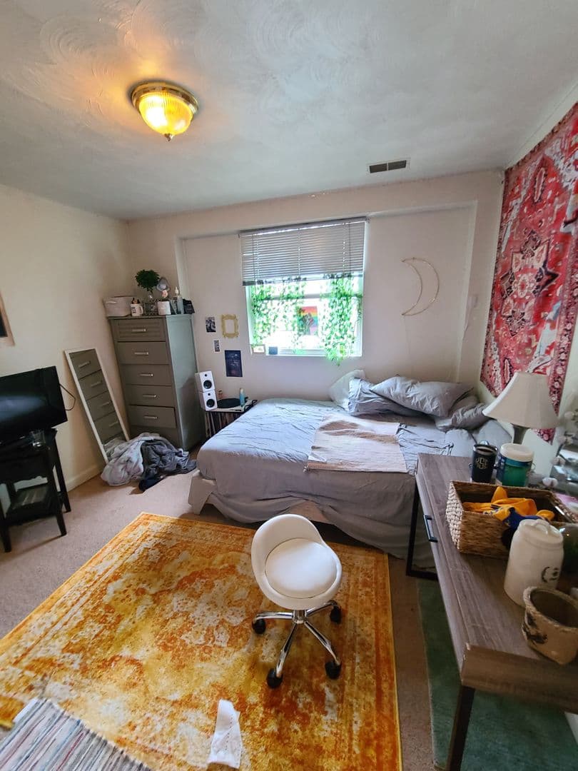 Pittsburgh Apartment: 415 McKee Place
