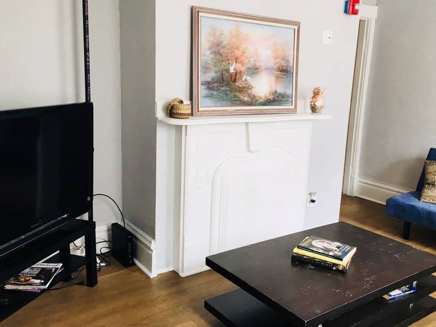 Pittsburgh Apartment: 90 South 22nd Street