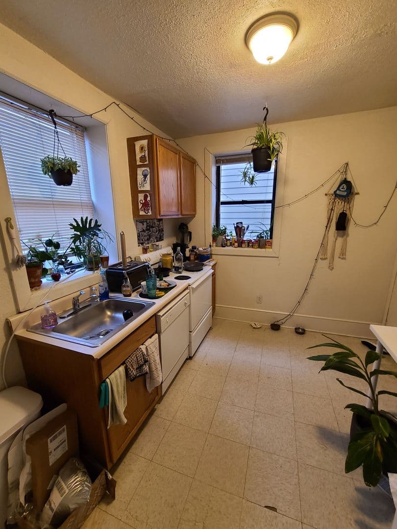 Pittsburgh Apartment: 416 McKee Place