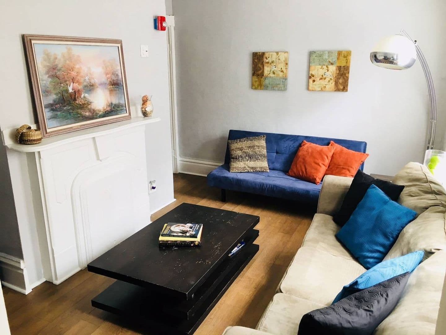 Pittsburgh Apartment: 90 South 22nd Street