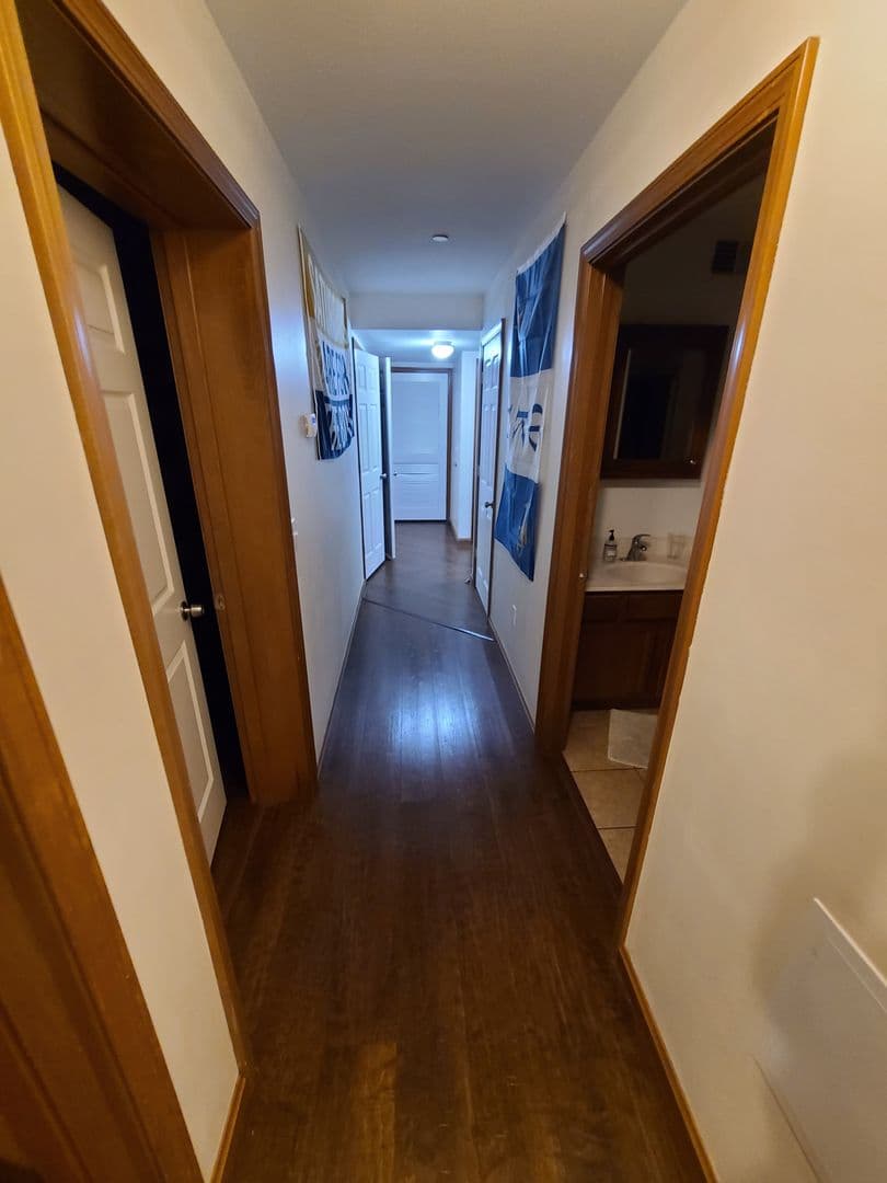 Pittsburgh Apartment: 519 Zulema Street