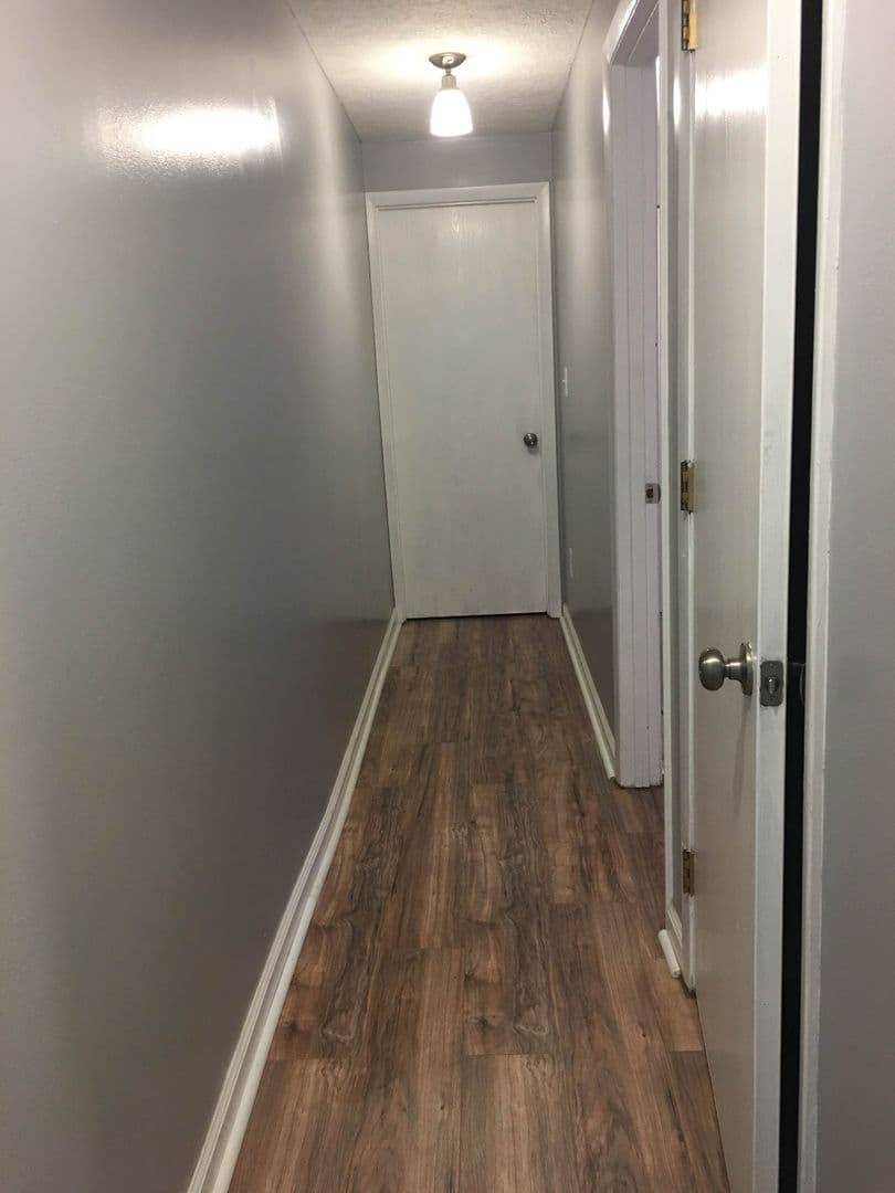 Pittsburgh Apartment: 205 South Millvale Avenue