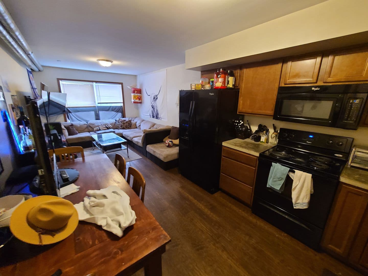 Pittsburgh Apartment: 519 Zulema Street