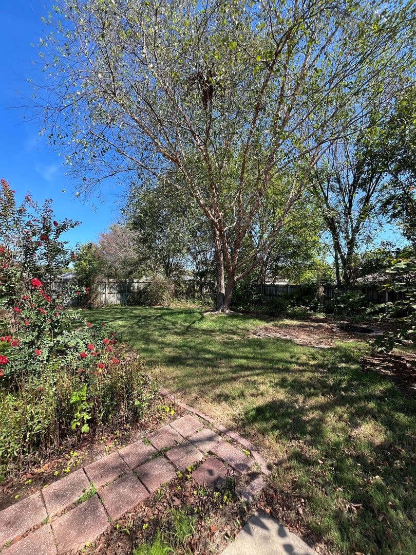 Elkins House: 1286 Hackberry Pl