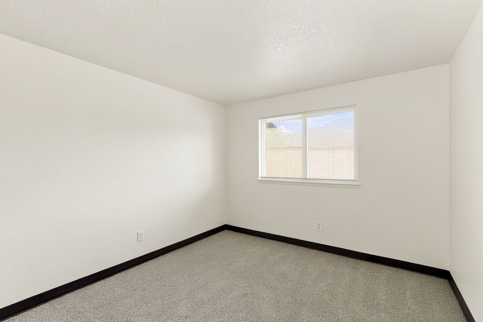 Monmouth Apartment: 366 Main Street W.