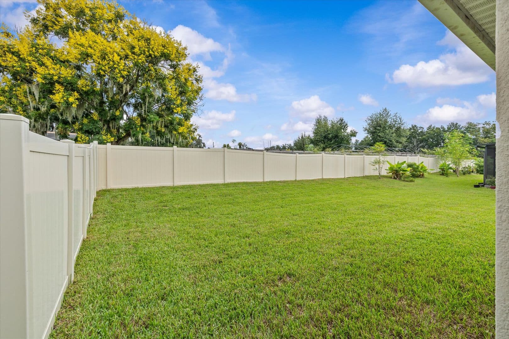 Seffner House: 9972 Mesic Woods Pl