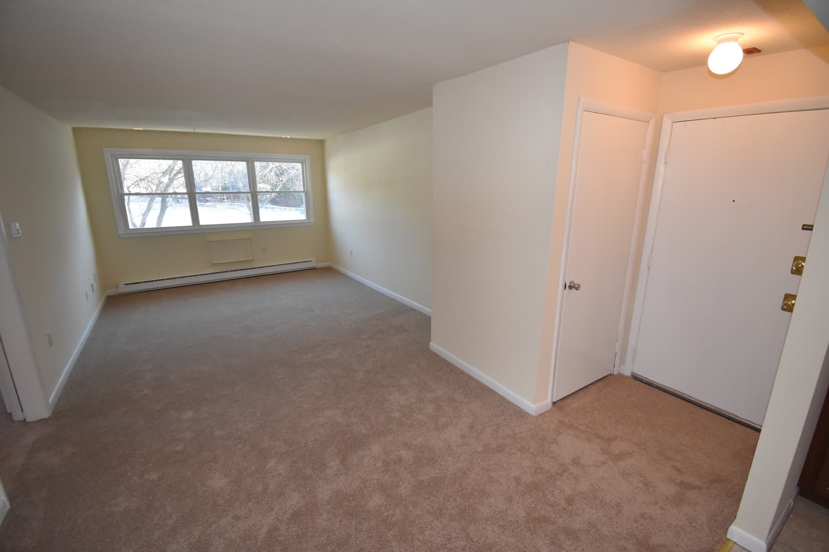 Seymour Apartment: 117 North Street