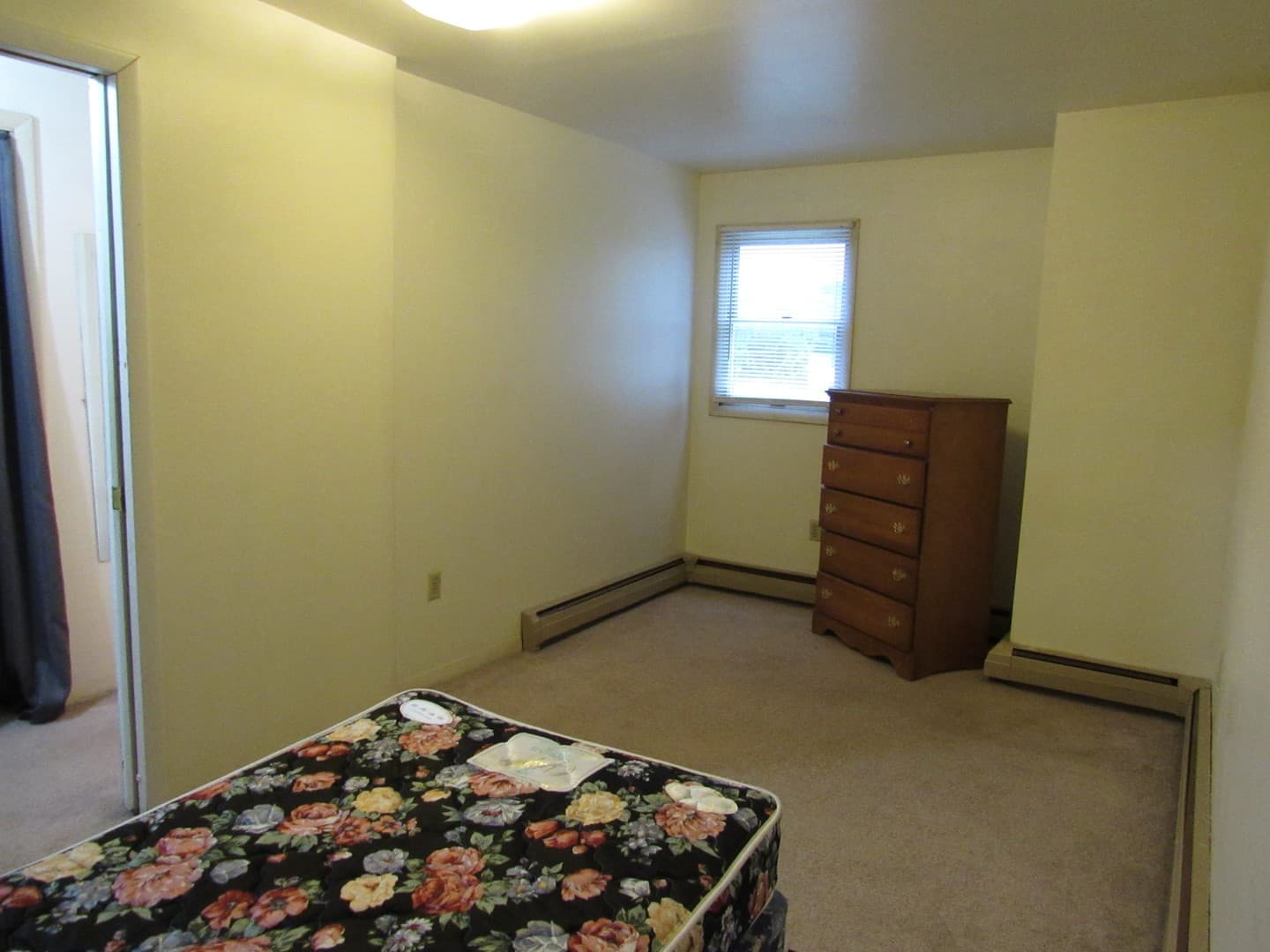 Indiana Apartment: 777 apt 1-6 Wayne Ave.