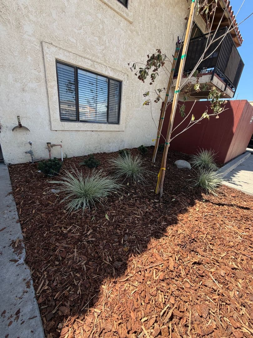 Santa Paula Apartment: 1125 E. Ventura Street