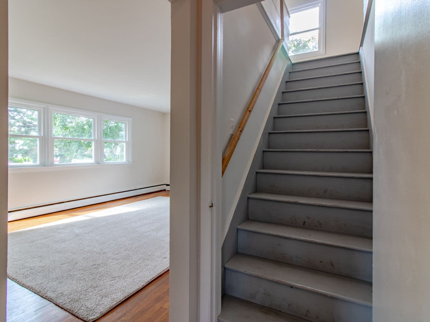 Lewes House: 1517 Savannah Rd