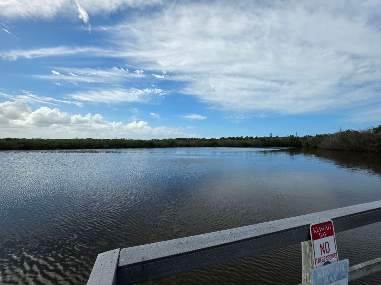New Smyrna Beach Condo: 4870 S. Atlantic