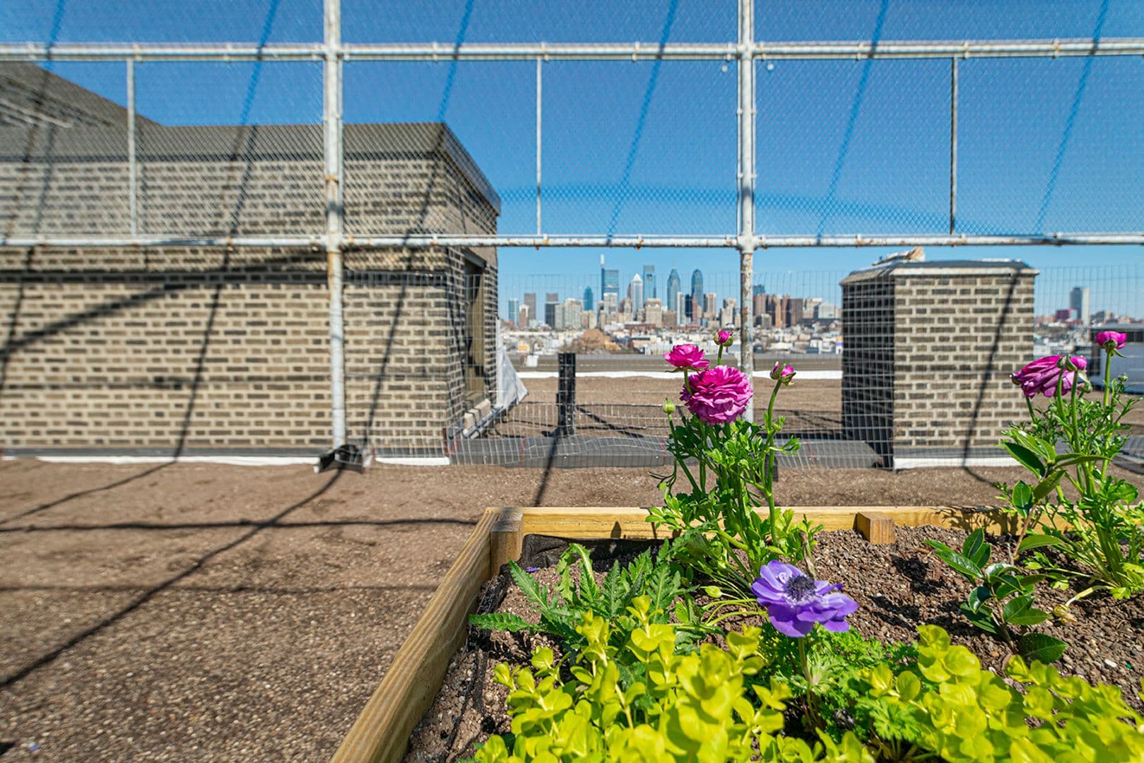 Philadelphia Apartment: 1300 S 19th Street