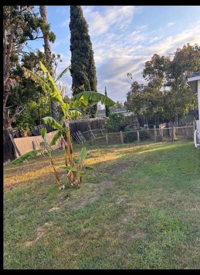 Tustin House: 1451 San Juan Street