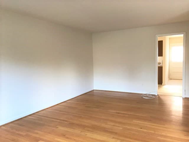 Fredericksburg Apartment: 1214 William Street