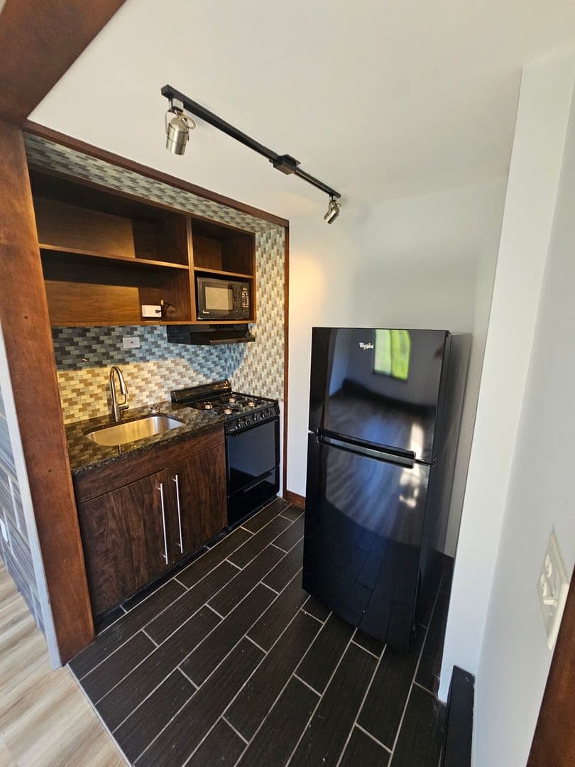 Mpls Apartment: 316 Oak Grove St